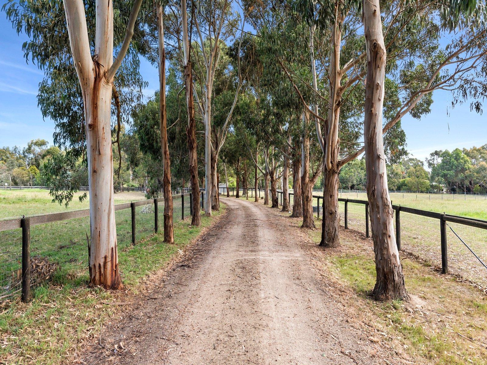 50 Hunts Road, Tuerong, 3915