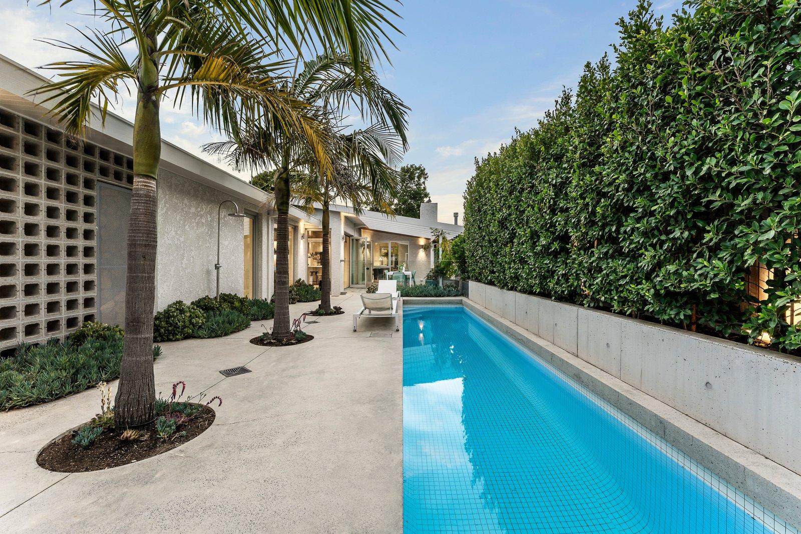 12 Selwyn Street, Brighton, 3186